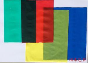 高壓平口PE袋(彩色)